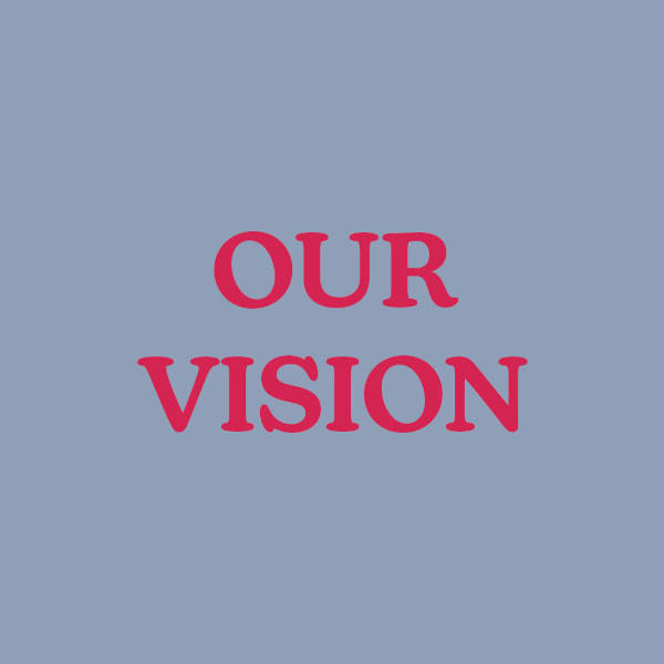 our vision