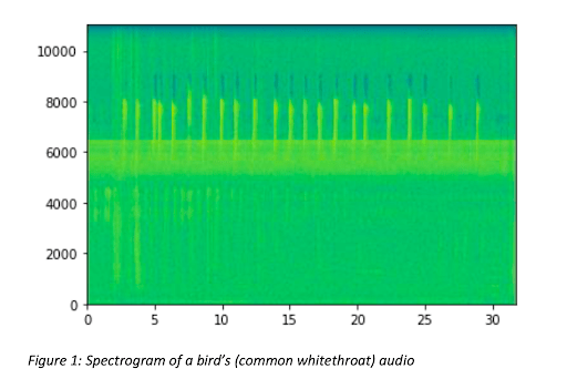 spectrogram of a bird's (common whitethroat) audio