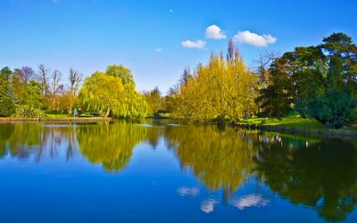 Beddington Park London Borough of Sutton Boating Lake