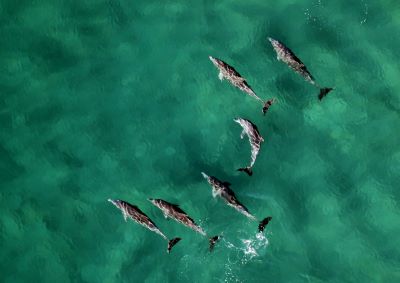 wynand-uys-0_32AIxy1Hk-unsplash400