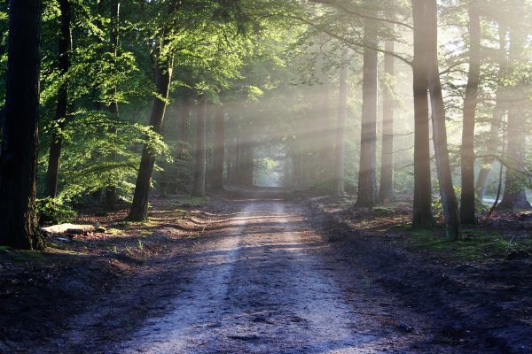 Rethinking Progress: The Common Good as a Catalyst for Systemic Transformation – Part 3 of 3