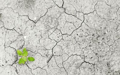 Rethinking Progress: The Common Good as a Catalyst for Systemic Transformation – Part 2 of 3