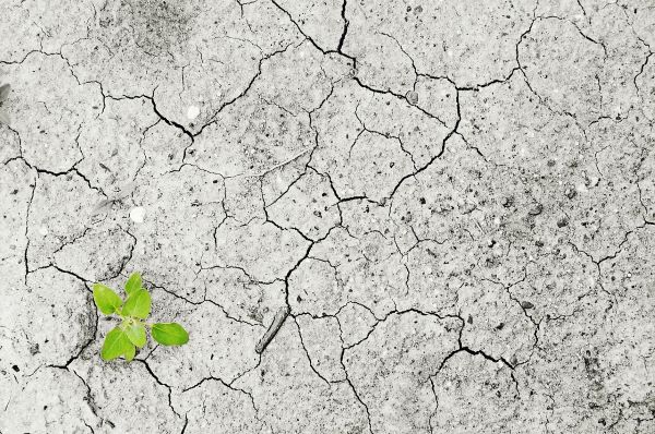 Rethinking Progress: The Common Good as a Catalyst for Systemic Transformation – Part 2 of 3