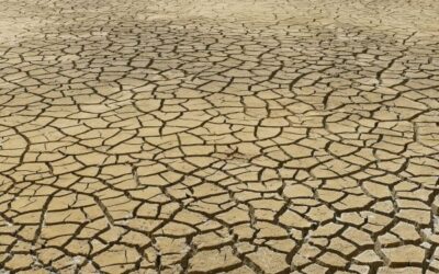 Rethinking Progress: The Common Good as a Catalyst for Systemic Transformation – Part 1 of 3